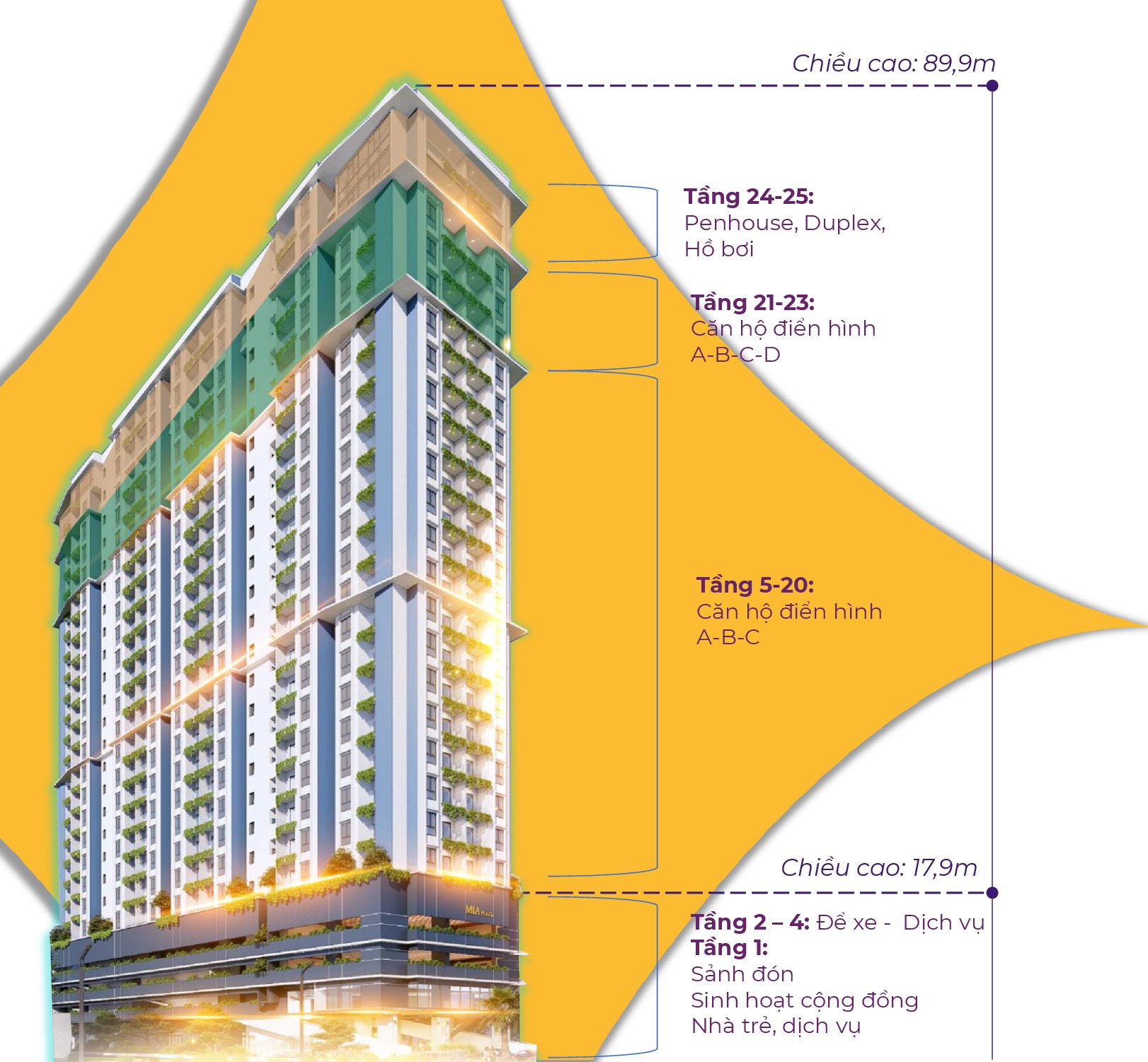 mia center point - chieu cao can ho-01-01