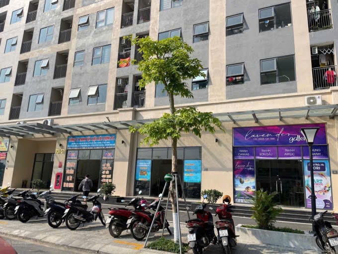 Bán shophouse The Ori Garden Đà Nẵng lô B4.1 và B4.2, căn CT3-CH01.14