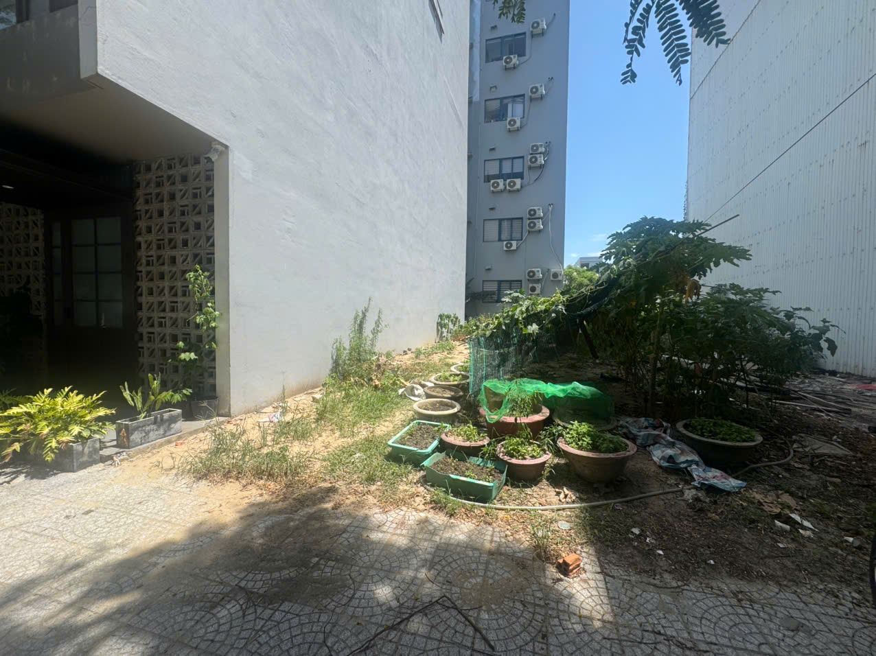 Bán đất mặt tiền Trần Đức Thông Sơn Trà giá 10.5 tỷ diện tích 80m²