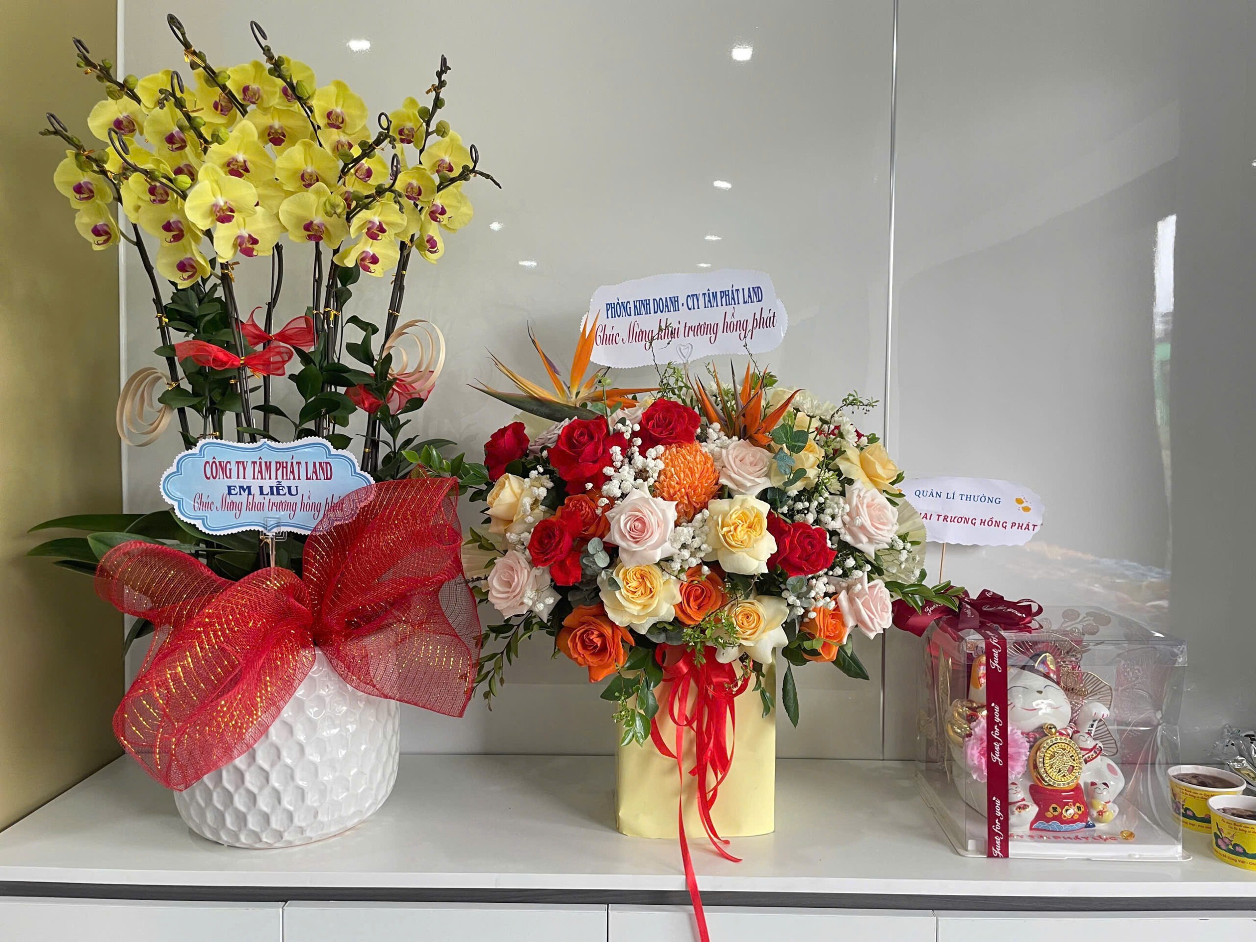 Khai trương văn phòng mới Tâm Phát Land