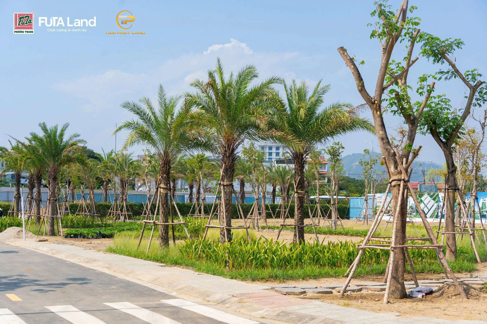 Tiến độ dự án Futa Kim Phát