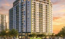 Dự án ECOLIFE SIGNATURE Đà Nẵng